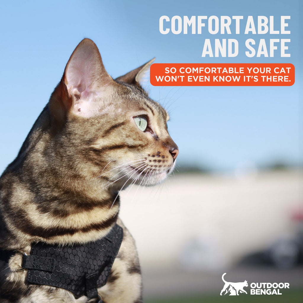 Houdini™ Escape Proof Cat Harness - OutdoorBengal