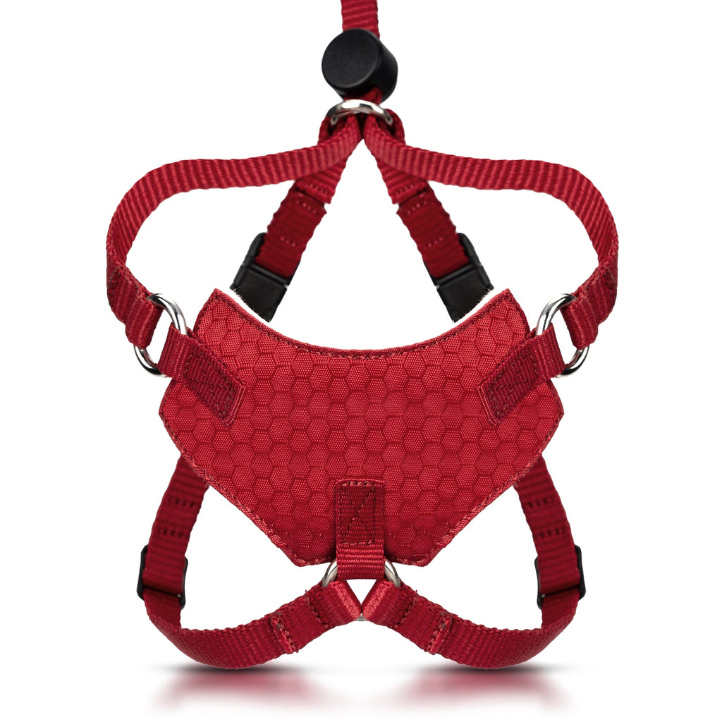 Houdini™ Escape Proof Cat Harness - OutdoorBengal