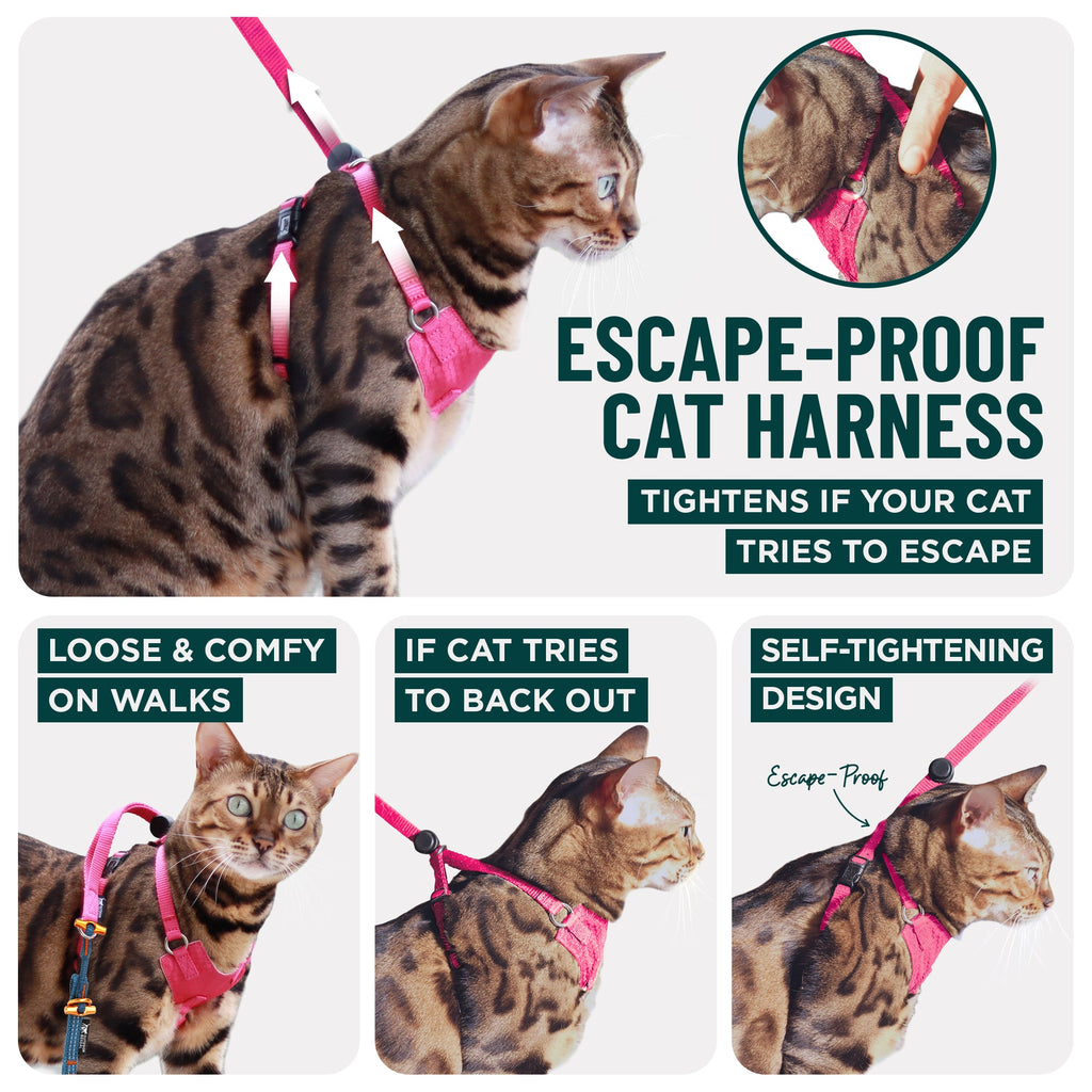 Houdini™ Escape-Proof Cat Harness - OutdoorBengal