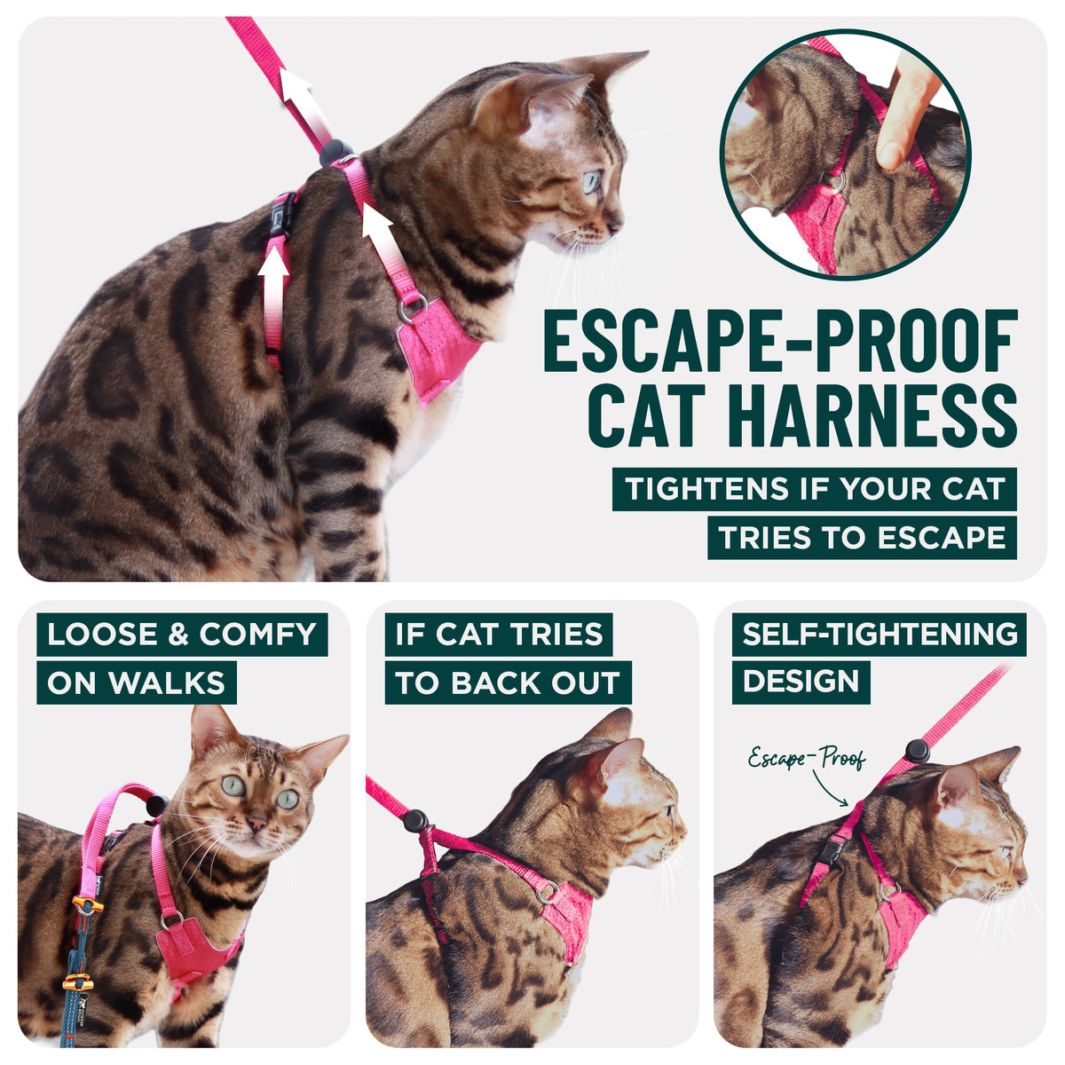 Houdini™ Escape-Proof Cat Harness - OutdoorBengal