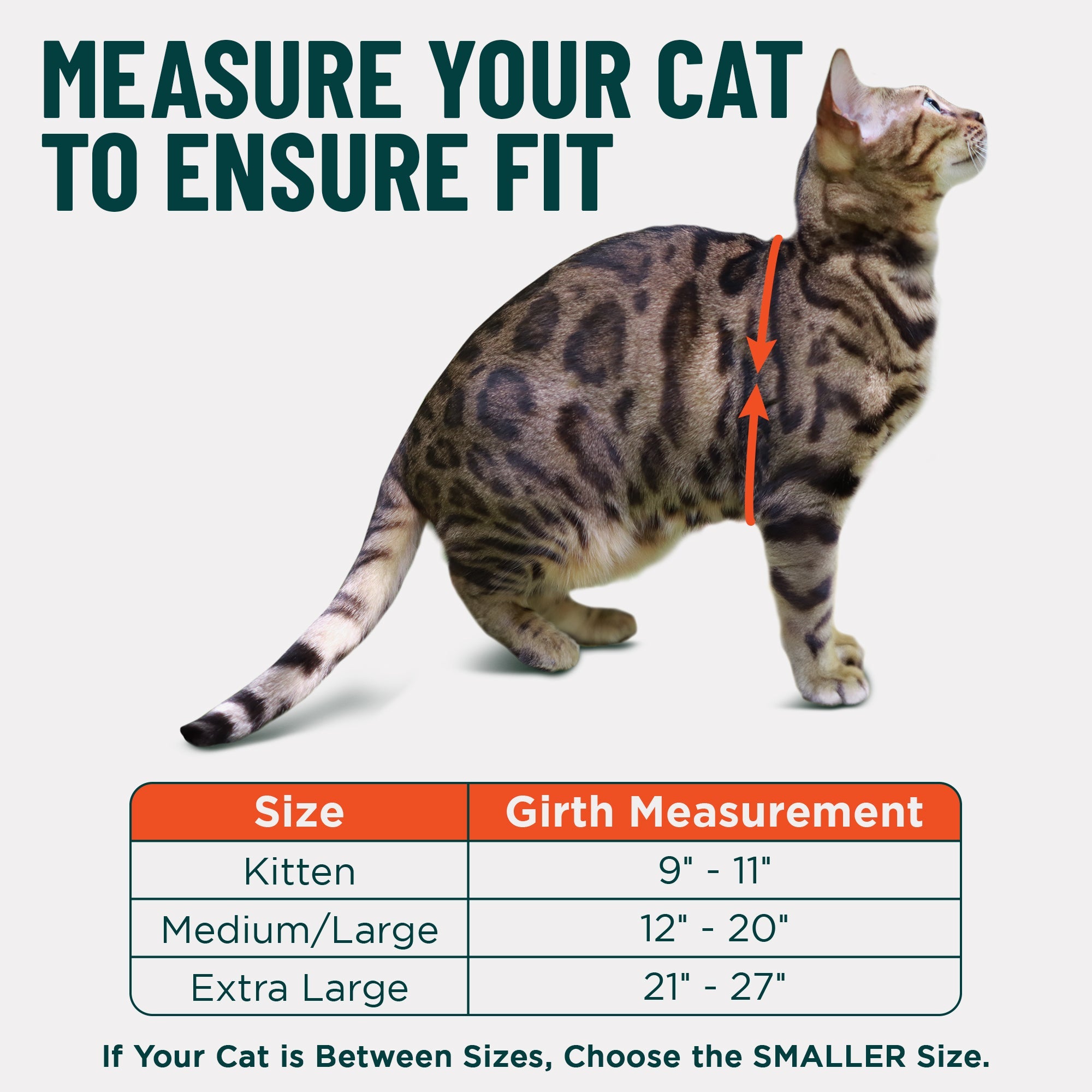 Houdini™ Escape Proof Cat Harness - OutdoorBengal