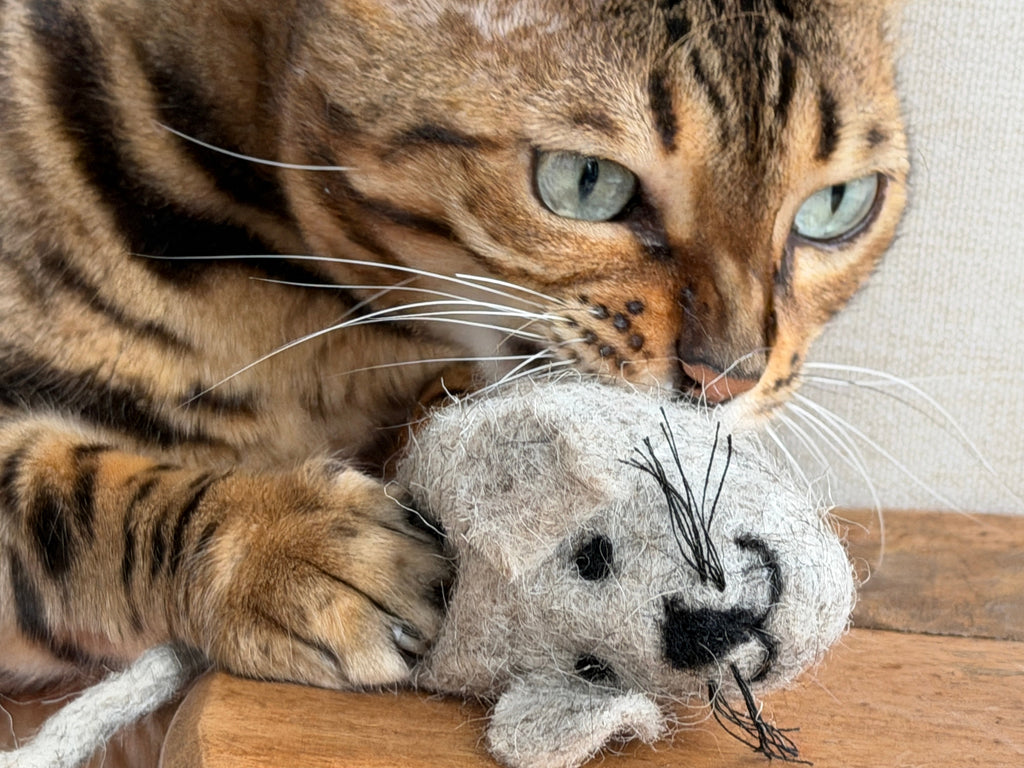 Hunties™ - Slow Feeding Toy for Cats - OutdoorBengal