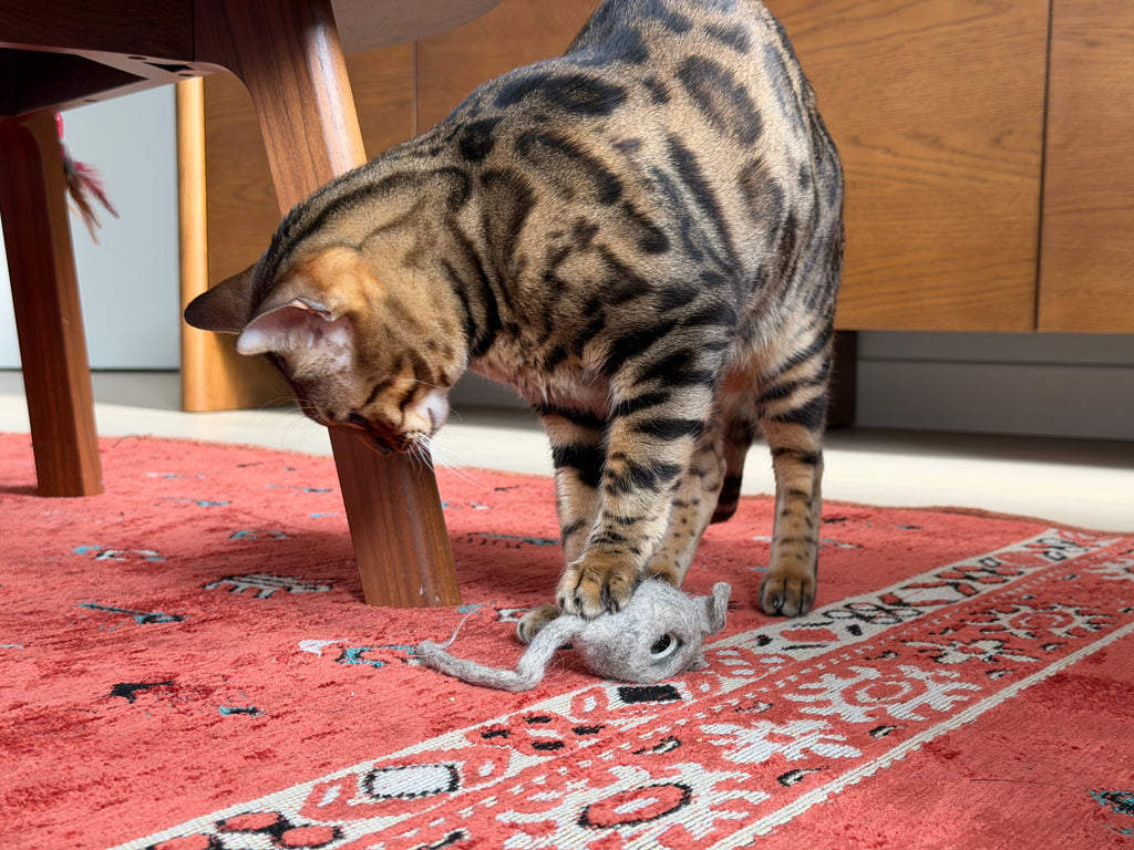 Hunties™ - Slow Feeding Toy for Cats - OutdoorBengal