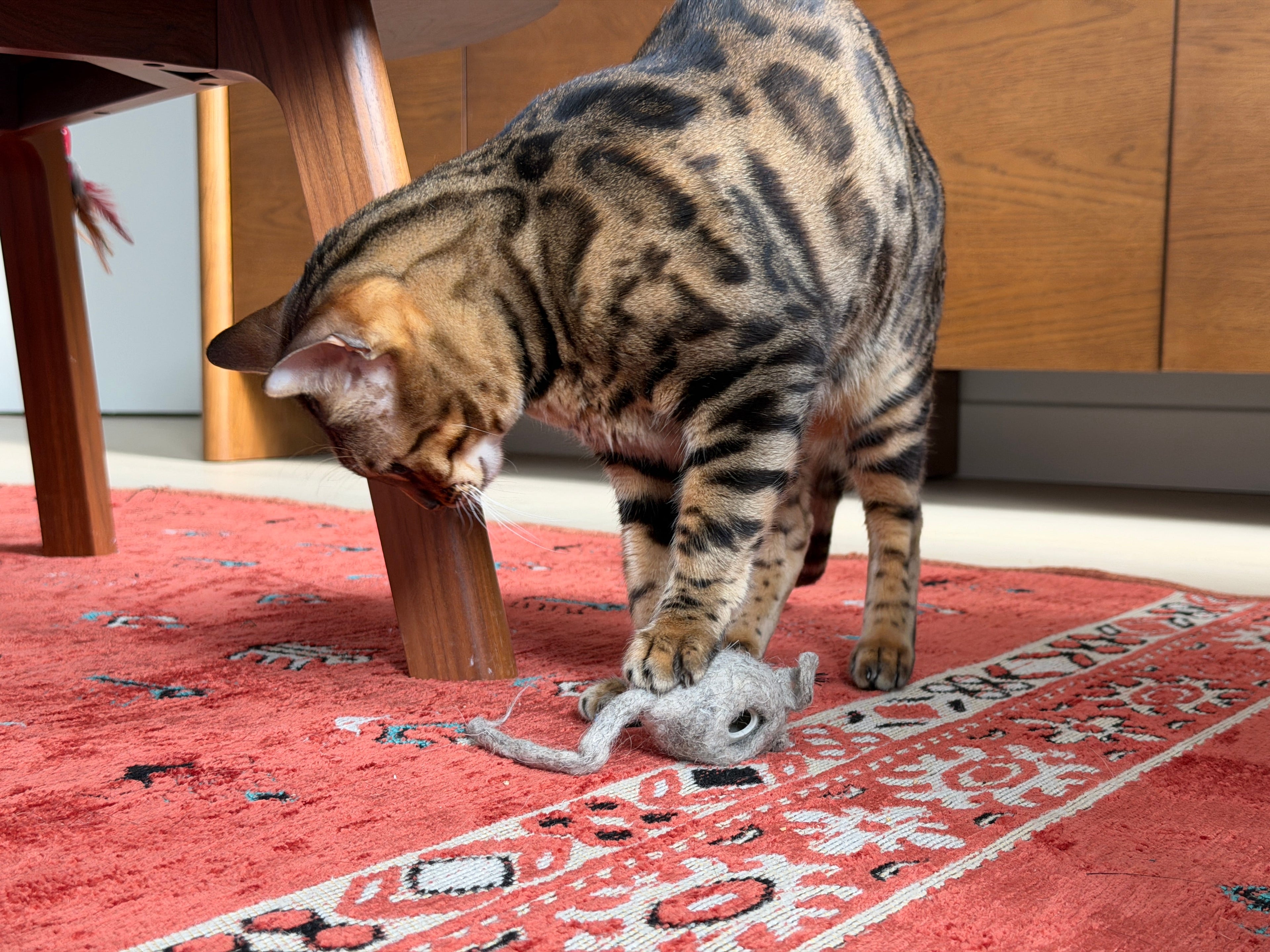 Hunties™ - Slow Feeding Toy for Cats - OutdoorBengal