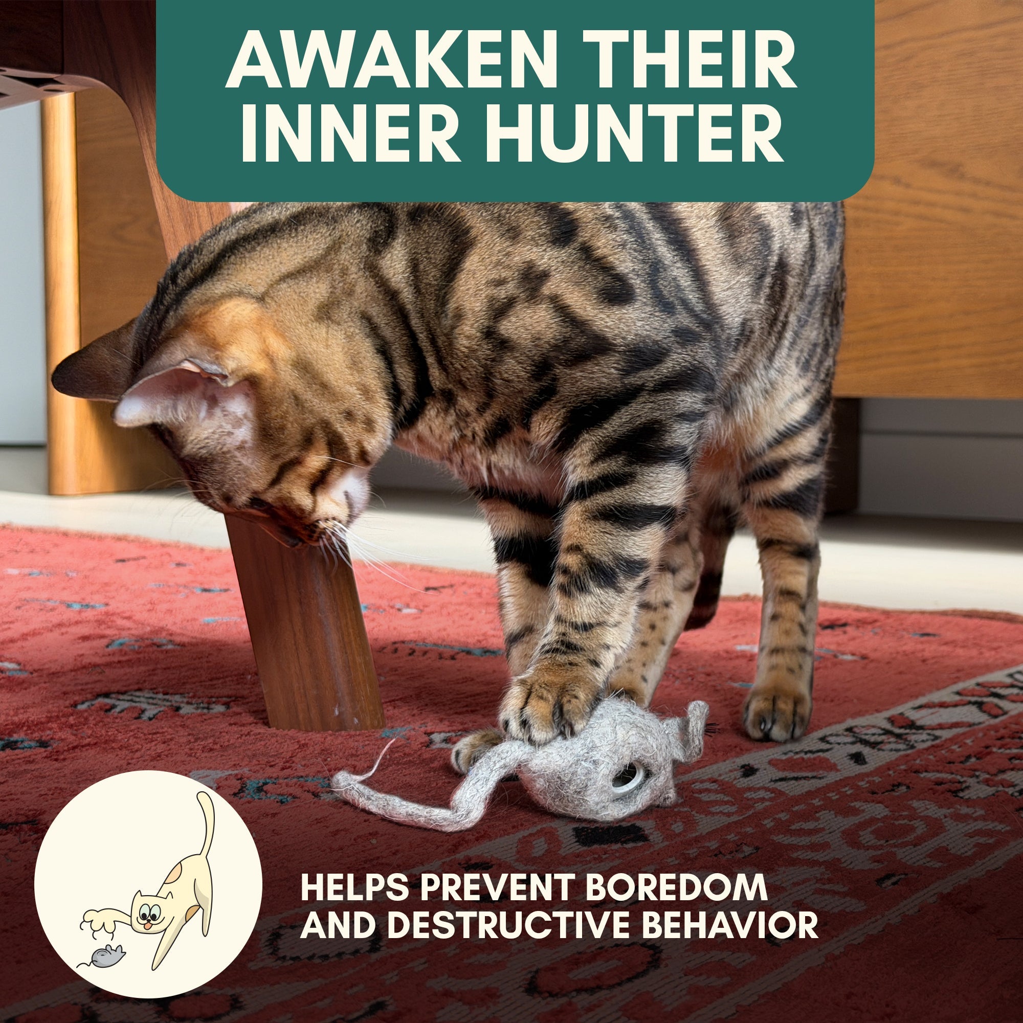 Hunties™ - Slow Feeding Toy for Cats - OutdoorBengal