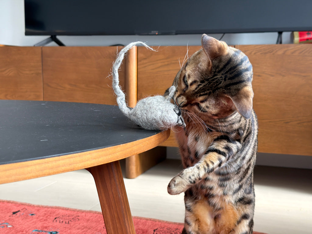 Hunties™ - Slow Feeding Toy for Cats - OutdoorBengal