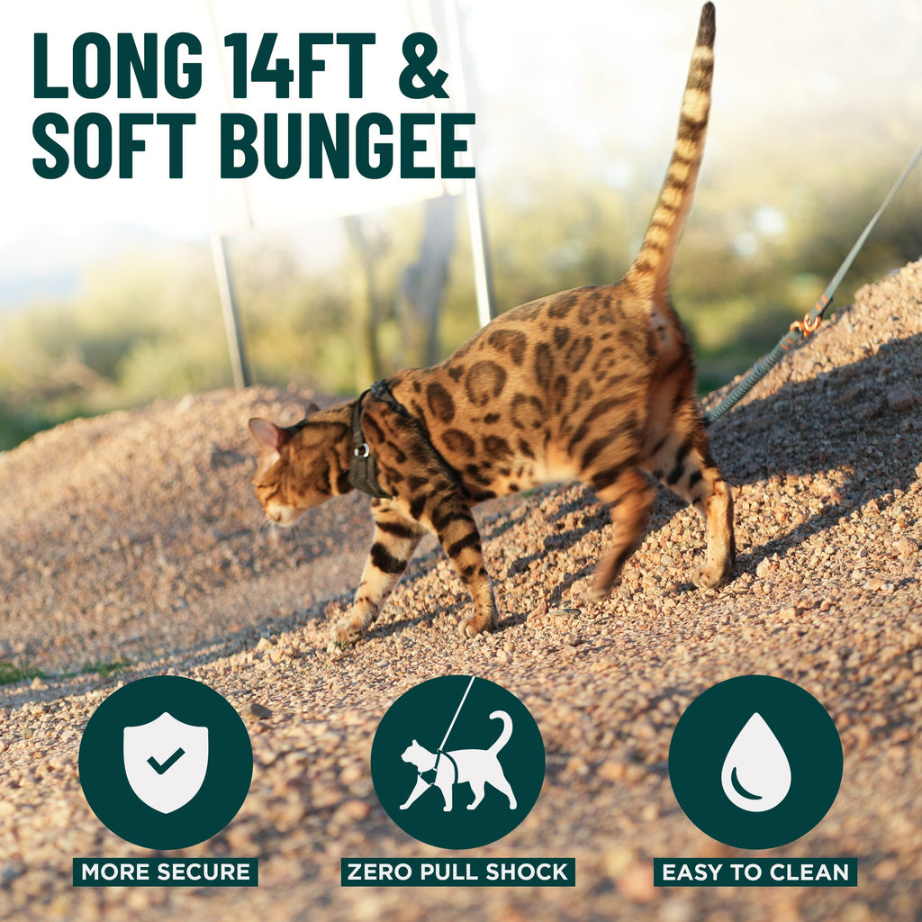 Kushma™ Bungee Cat Leash 14ft - OutdoorBengal