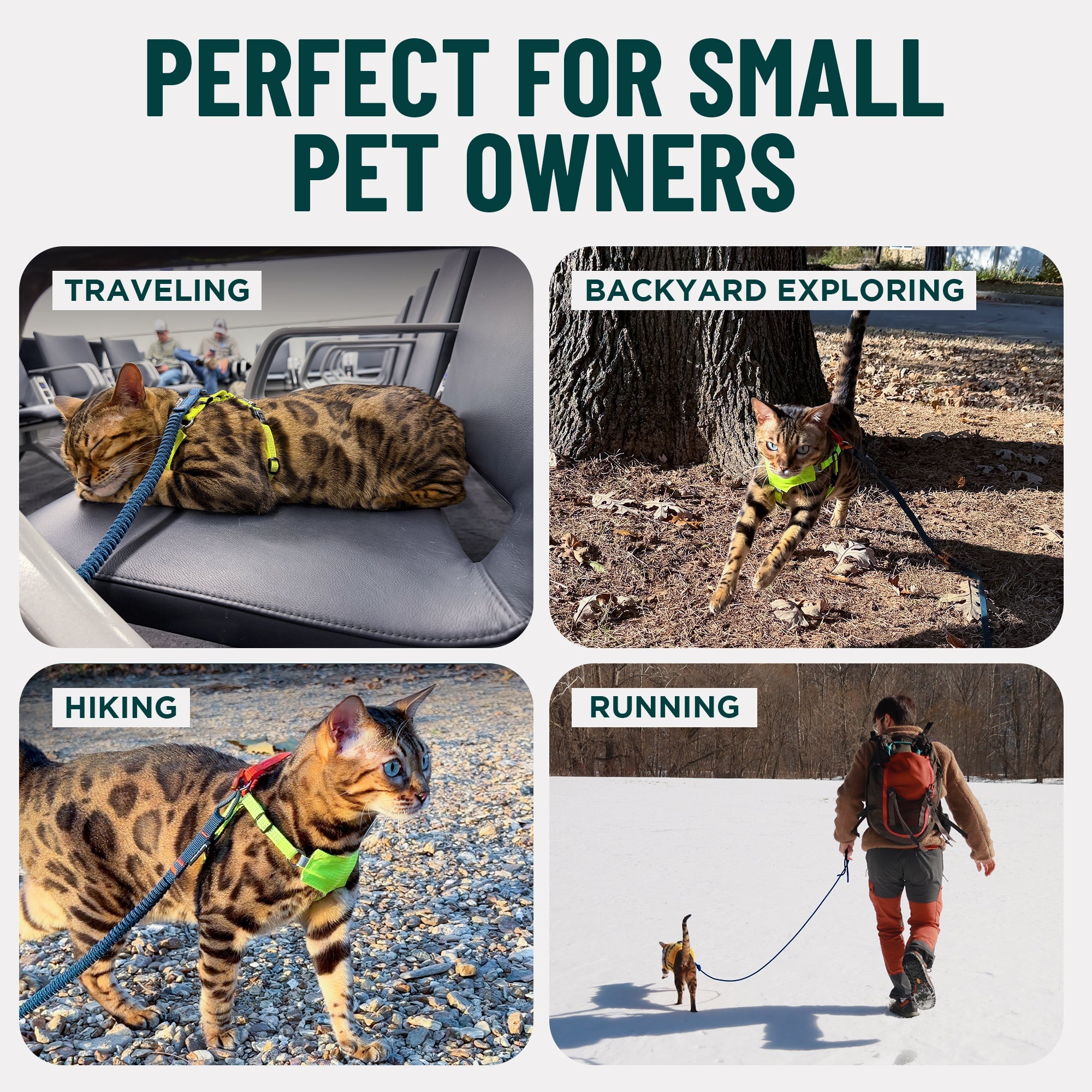 Kushma™ Bungee Cat Leash 14ft - OutdoorBengal