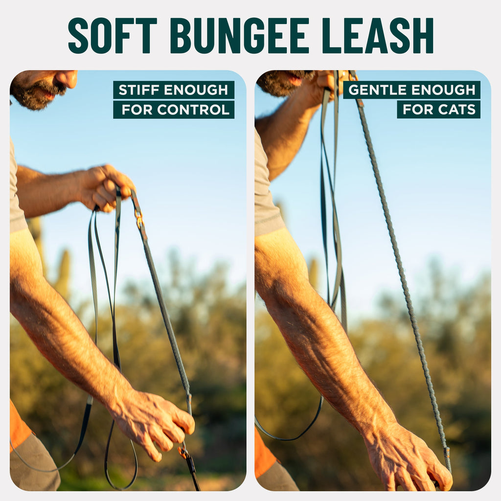 Kushma™ Bungee Cat Leash 14ft - OutdoorBengal