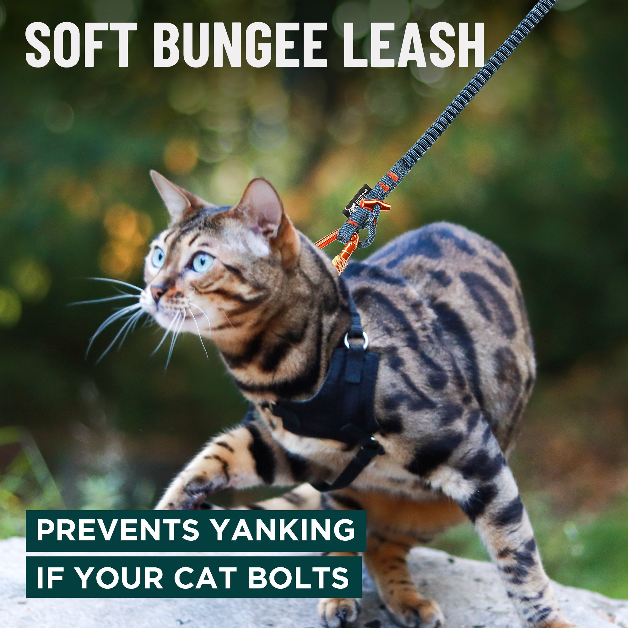 Kushma™ Bungee Cat Leash 14ft - OutdoorBengal