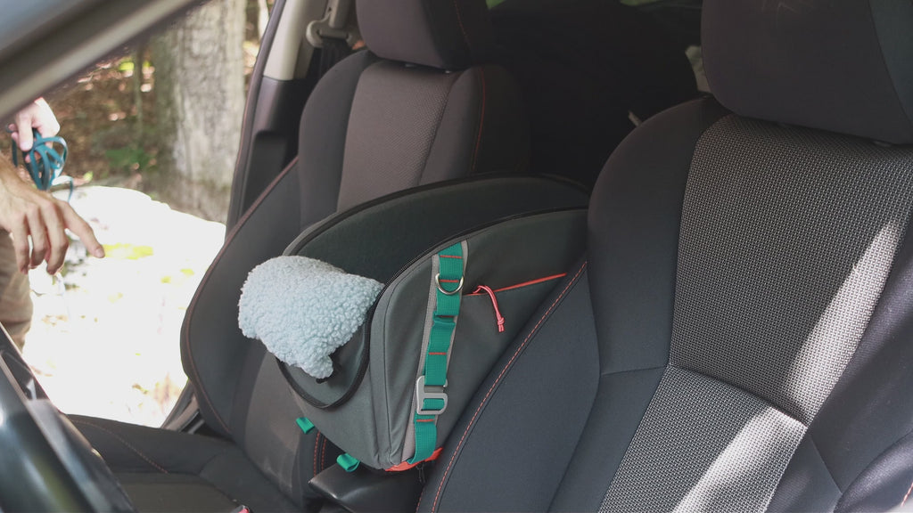 Dakar™ 2in1 Cat Car Seat & Carrier