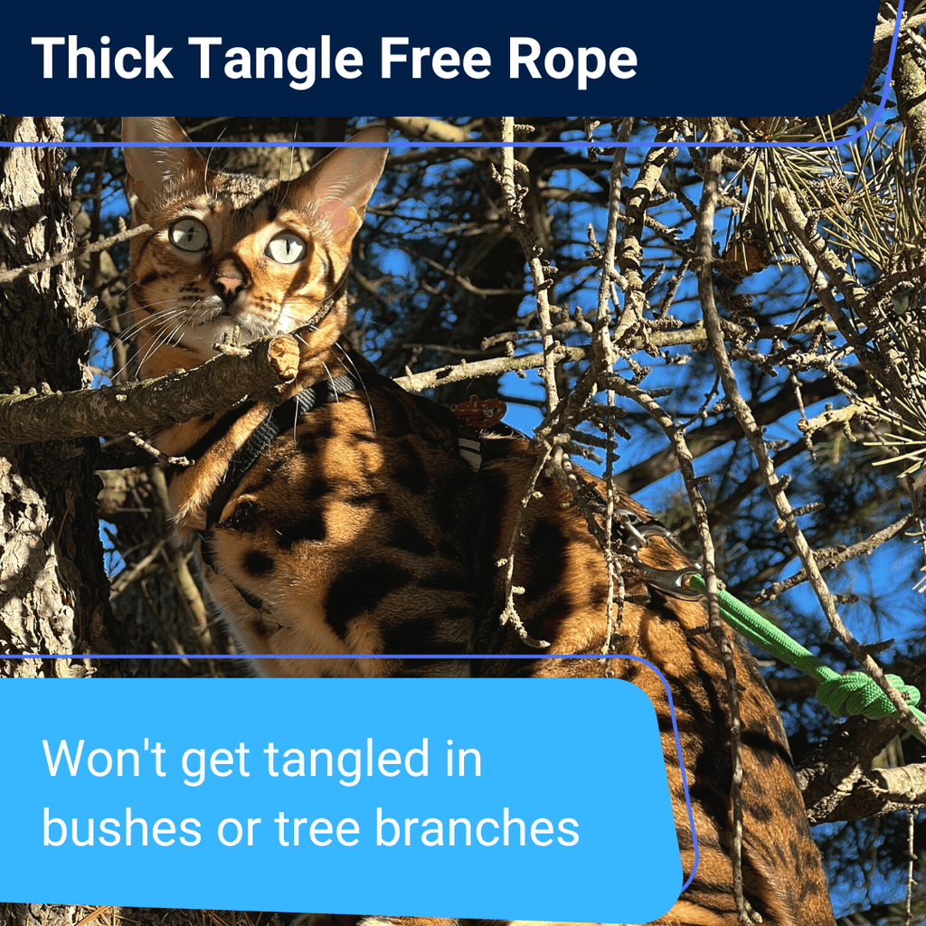 Tangle - free Rope Leash for Cats - OutdoorBengal