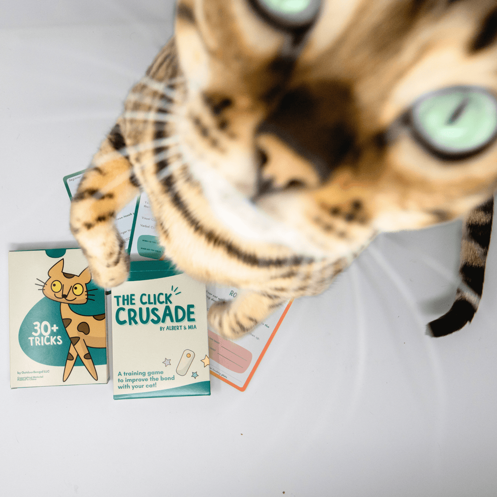 The Click Crusade - Cat Training Card Game - OutdoorBengal