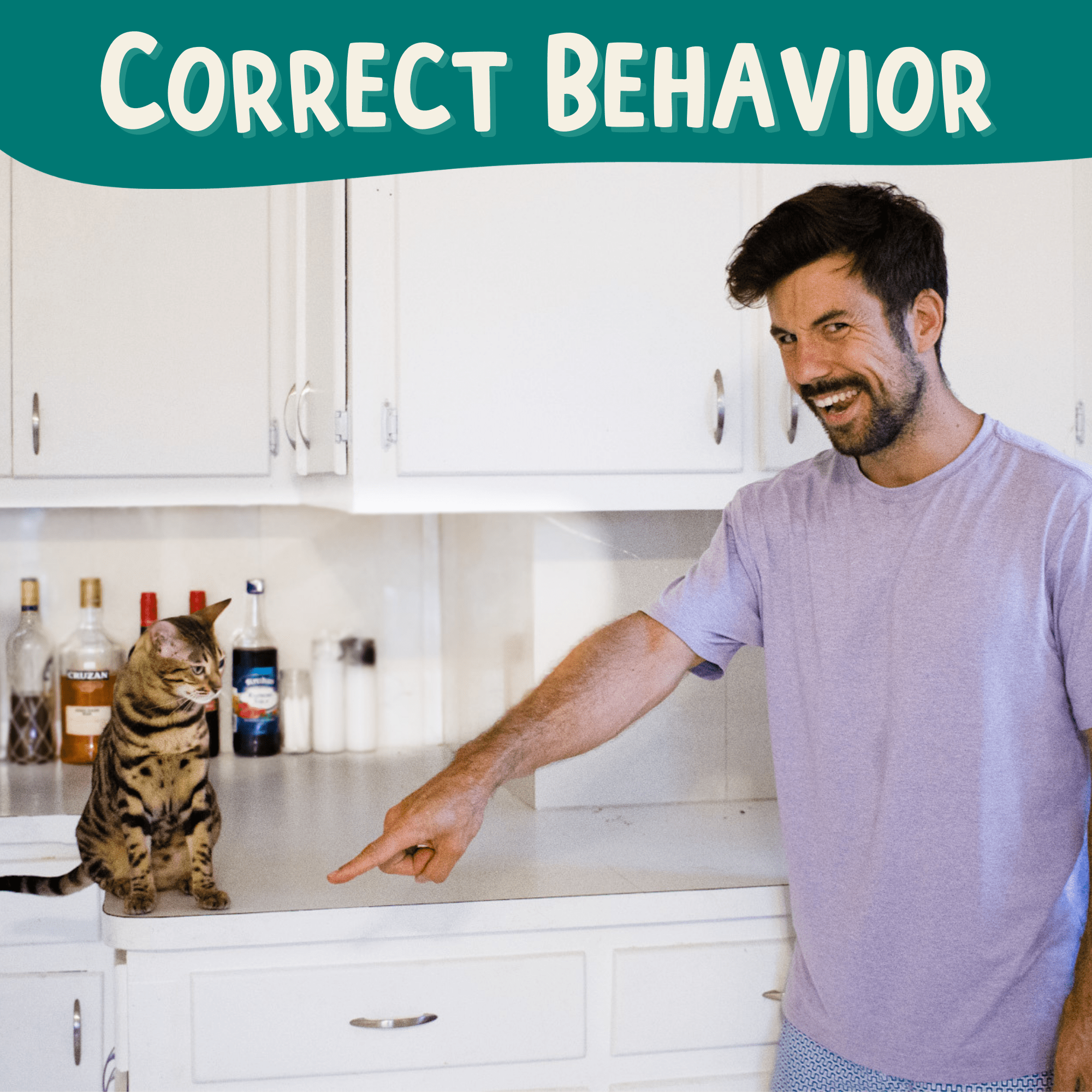 The Click Crusade - Cat Training Card Game - OutdoorBengal