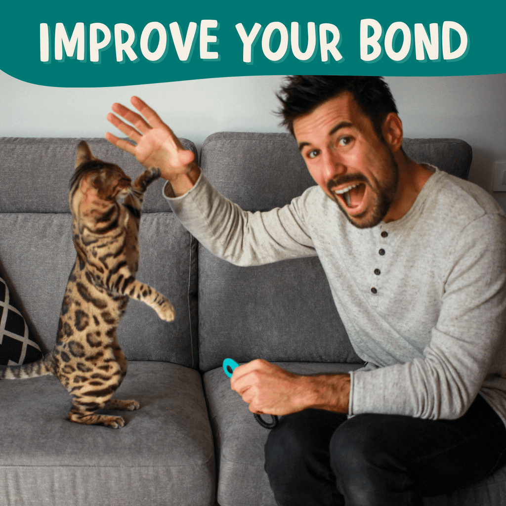 The Click Crusade - Cat Training Card Game - OutdoorBengal