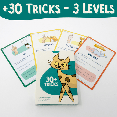 The Click Crusade - Cat Training Card Game - OutdoorBengal