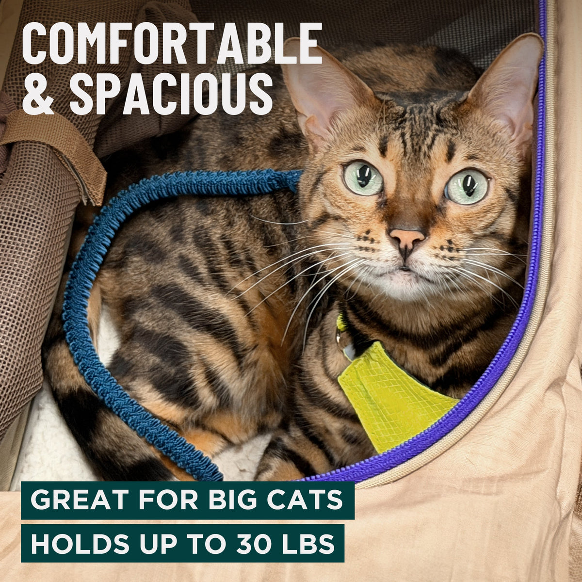 Durable Cat Carriers for Travel & Vet Visits – OutdoorBengal™