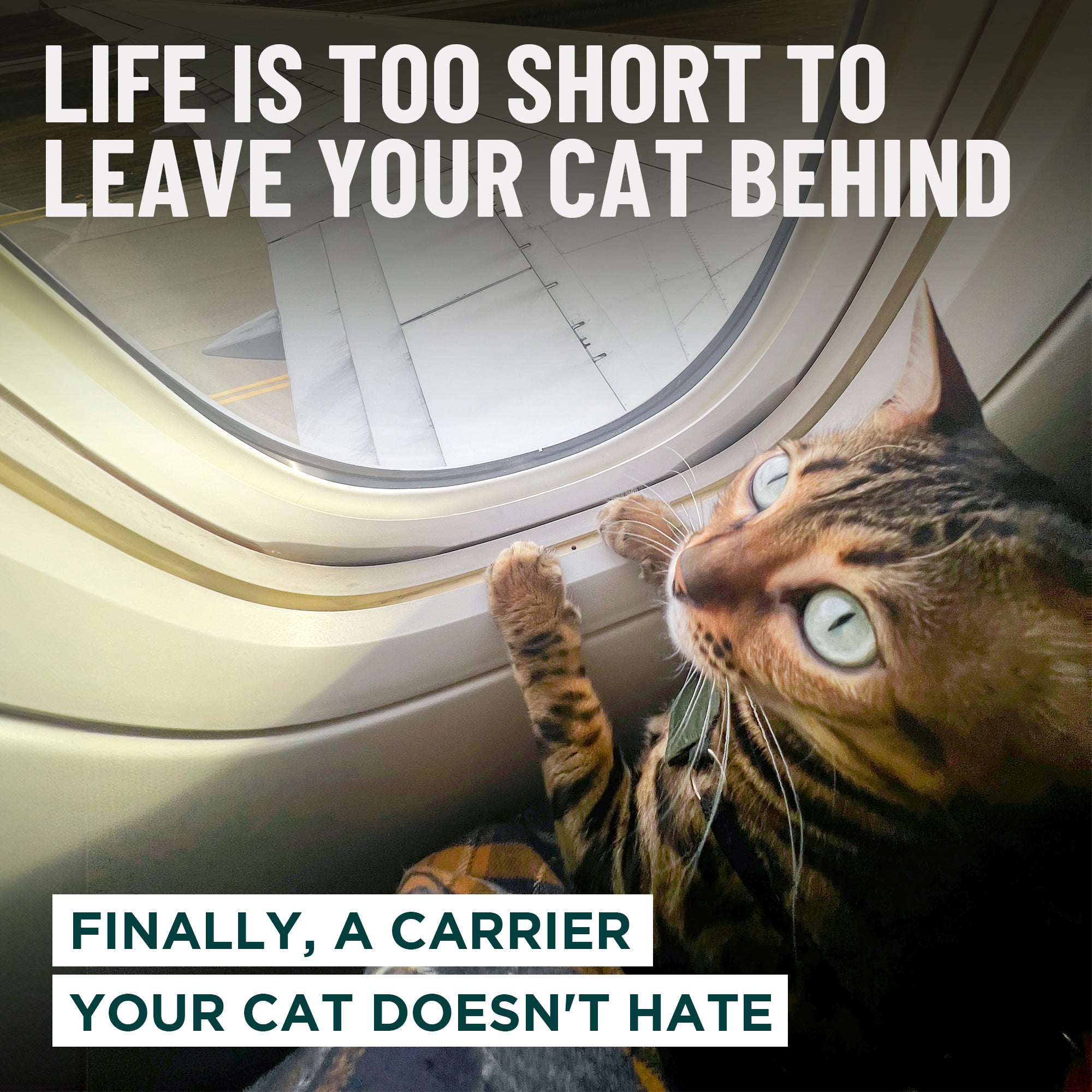 Zeppelin™ Airline - Approved Cat Carrier - OutdoorBengal