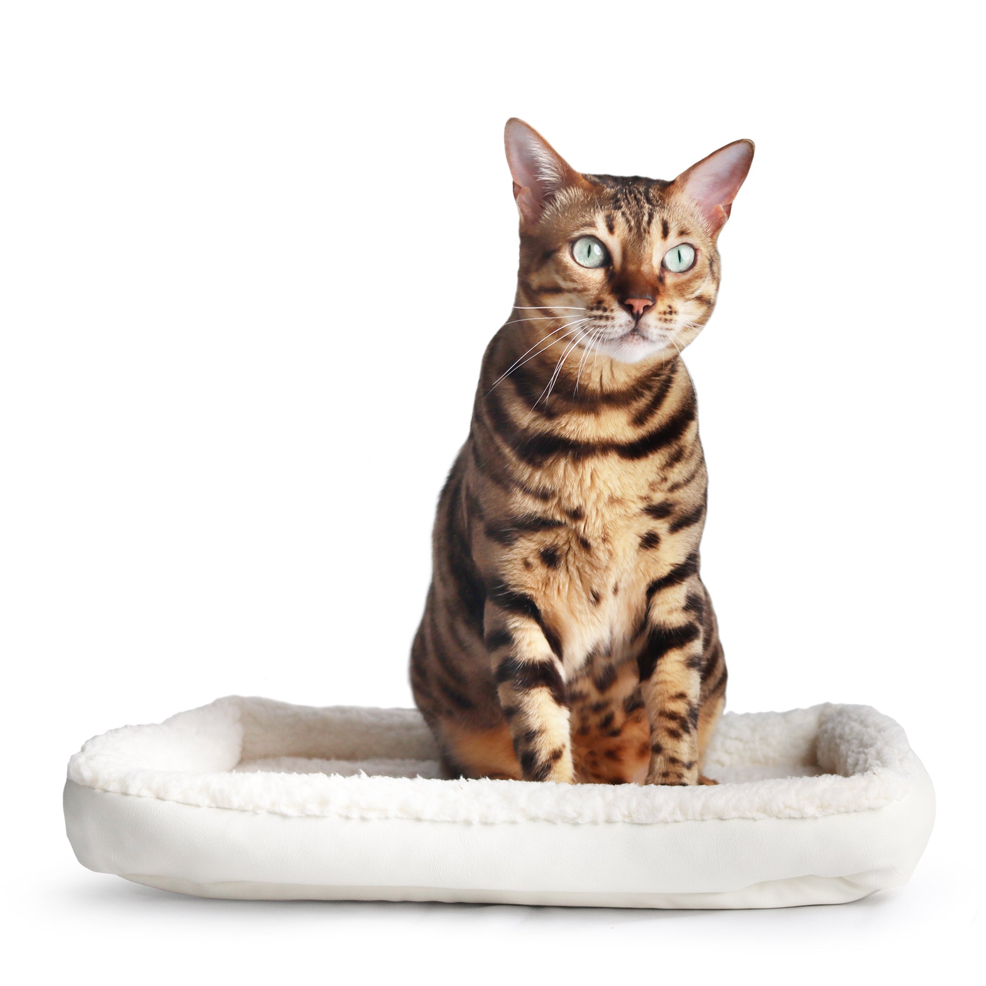 Zeppelin Bed Replacement - OutdoorBengal