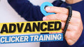 Advanced Clicker Training - OutdoorBengal