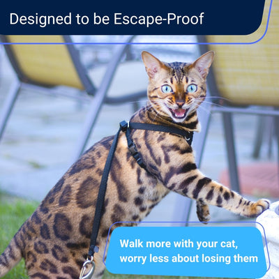 Cat Harness and Leash - Escape Proof, Light and Safe - OutdoorBengal