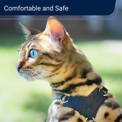 Cat Harness and Leash - Escape Proof, Light and Safe - OutdoorBengal